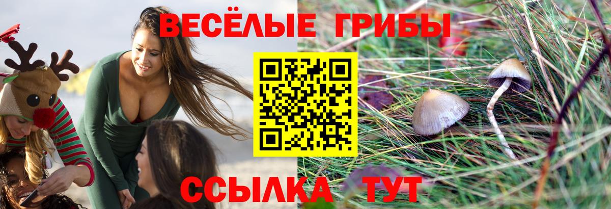 Псилоцибиновые грибы Magic Shrooms Павлово